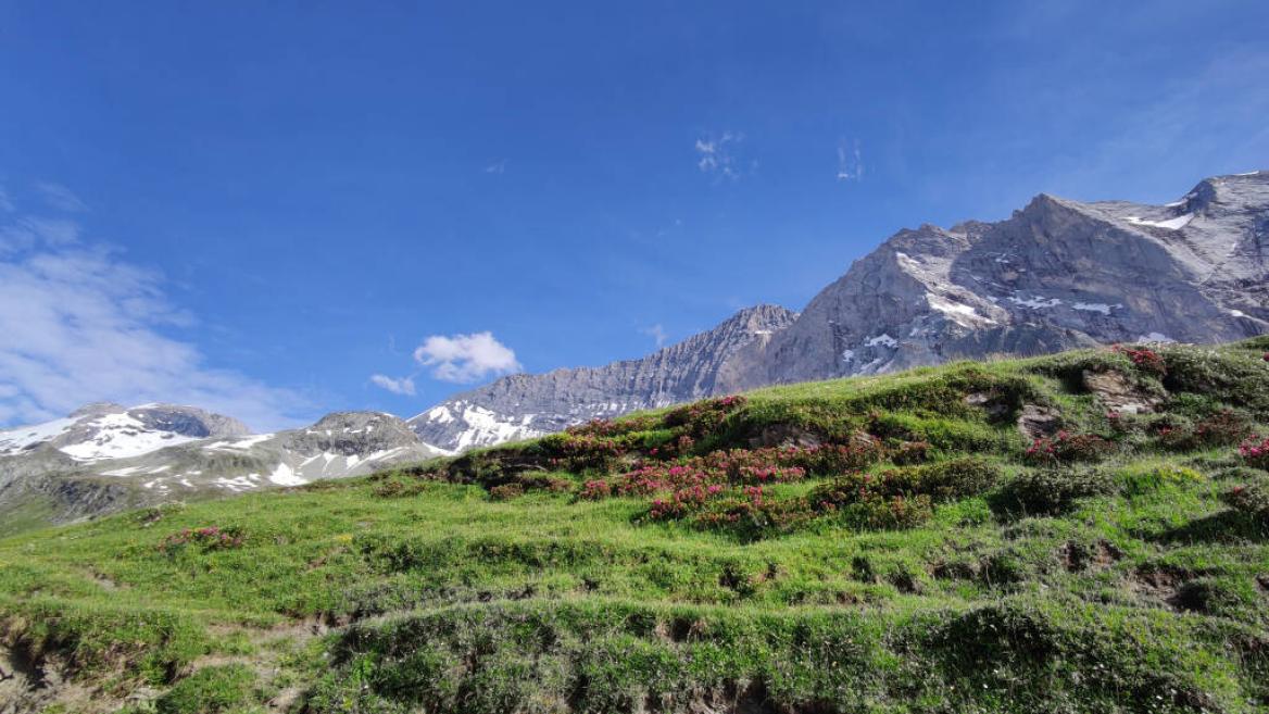 La route du sel et du col de la Vanoise - Bureau des guides