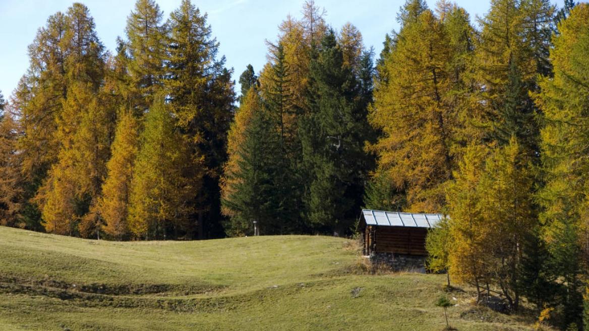 Plateau de Plan Bois