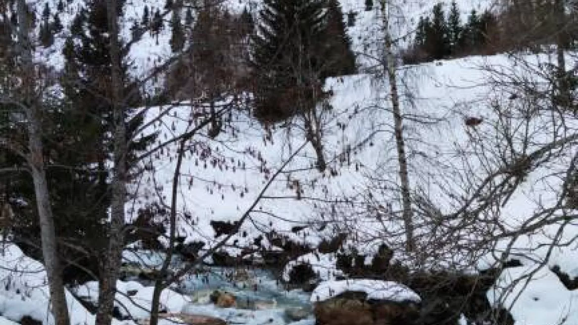 Itinéraire hiver Chardes