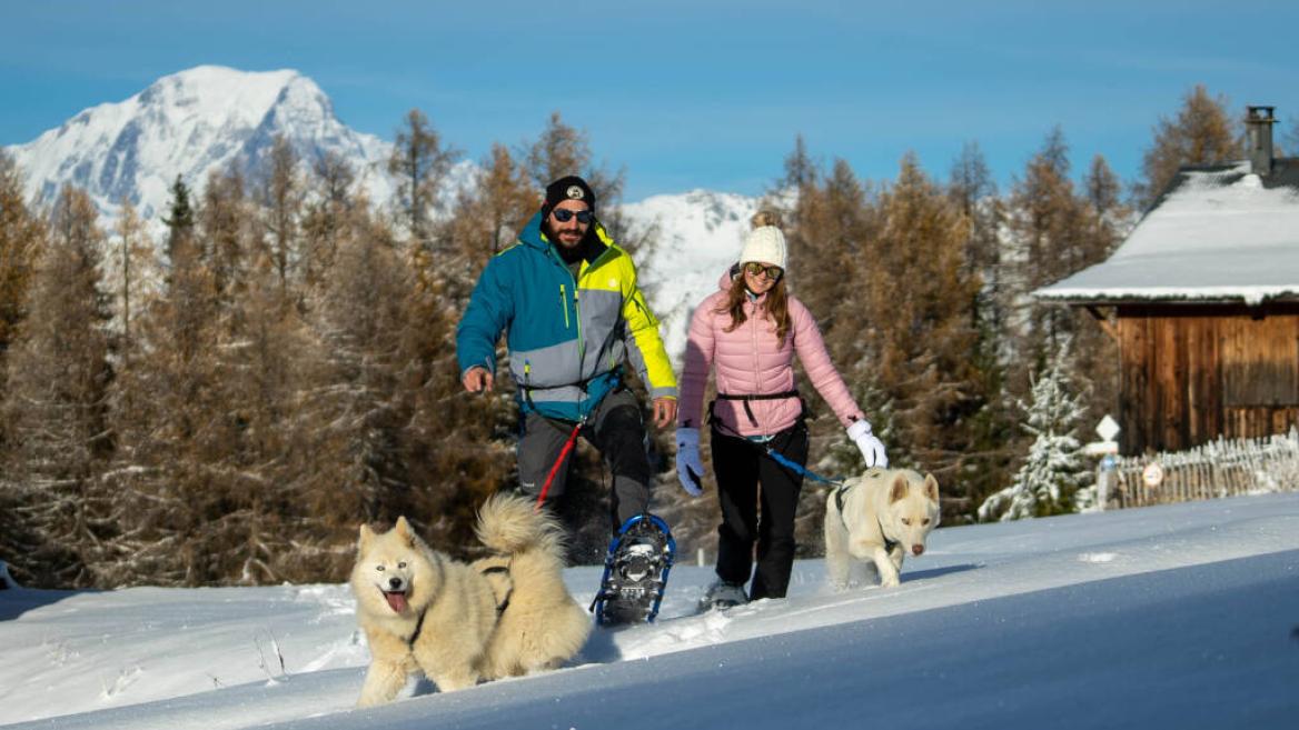 Une balade en cani raquettes
