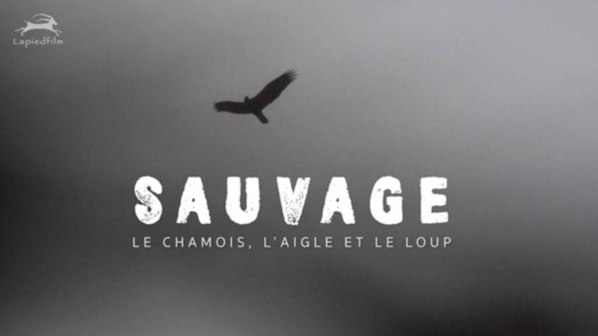 SAUVAGE, le Chamois, l’Aigle et le Loup