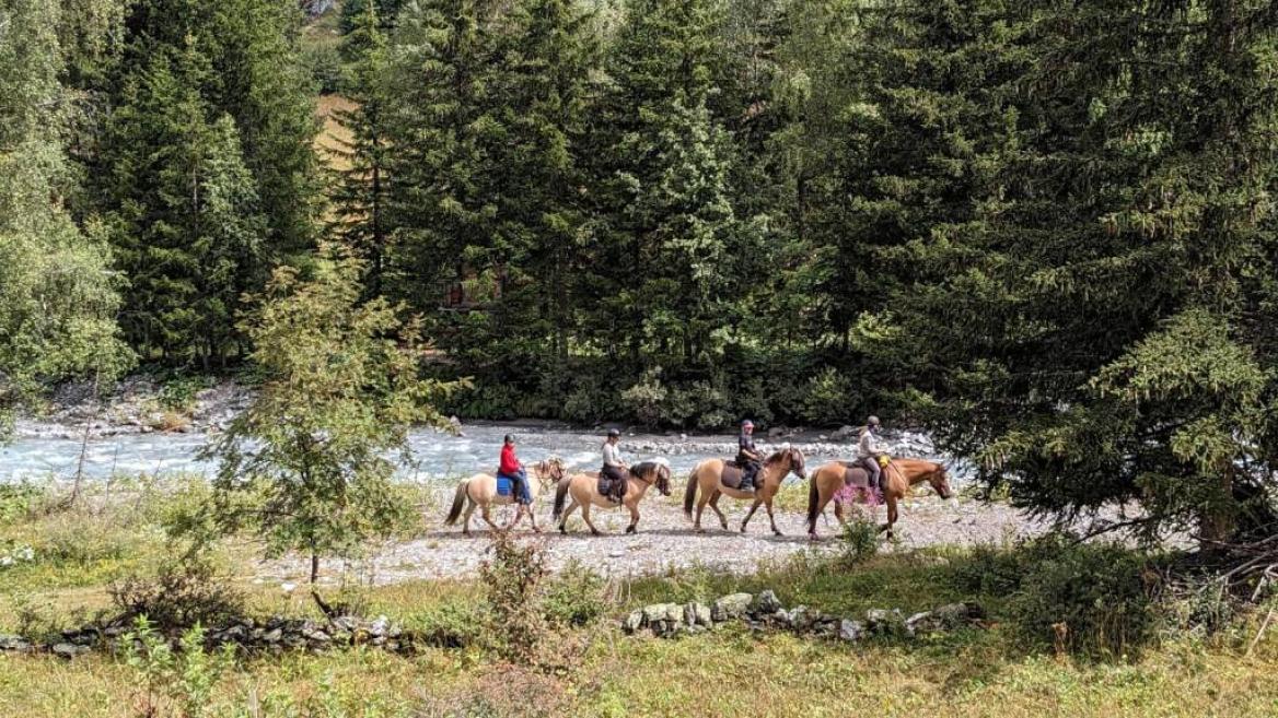 Balade à cheval Champagny-le-Haut