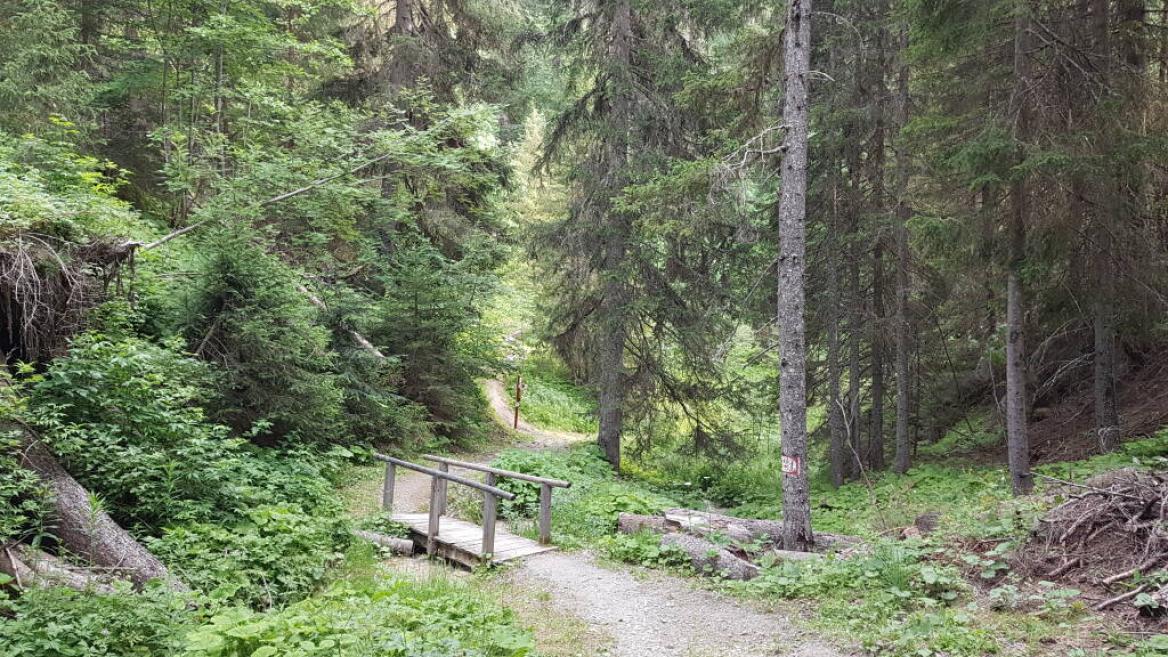 Sentier Rocher du Glaisy