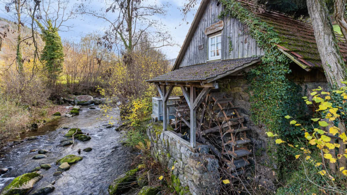 J'aime l'été à La Côte d'Aime | Visite du moulin à eau de Pierrolaz_La Plagne Tarentaise