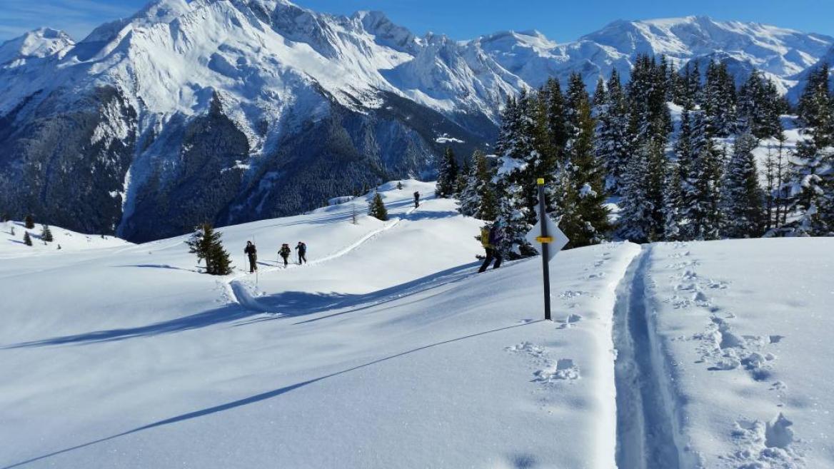 Sortie / Initiation en ski de randonnée