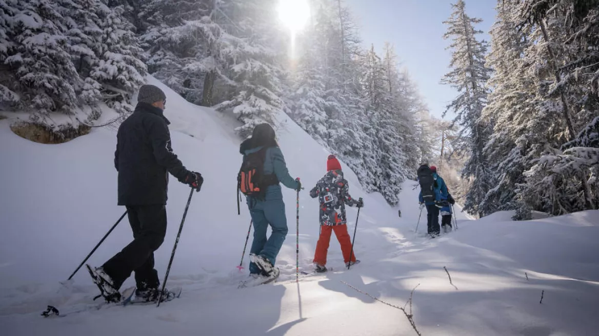 Plan Bois sous les étoiles !_Montchavin-les-Coches