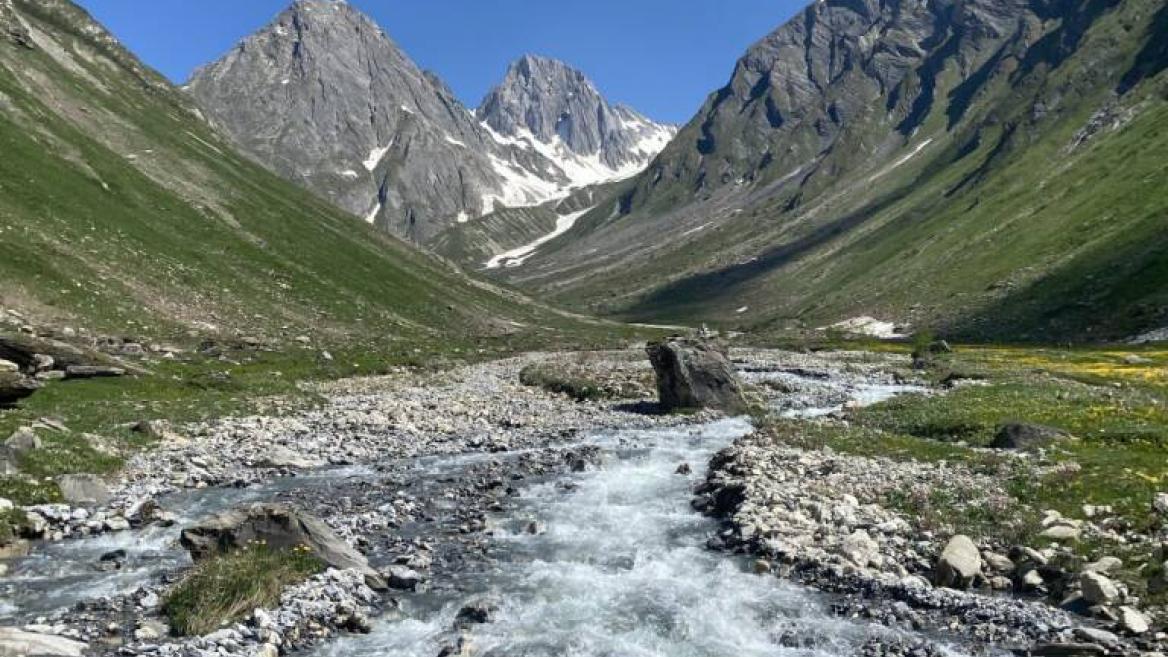 Balade dans le vallon de Foran_Aime-la-Plagne