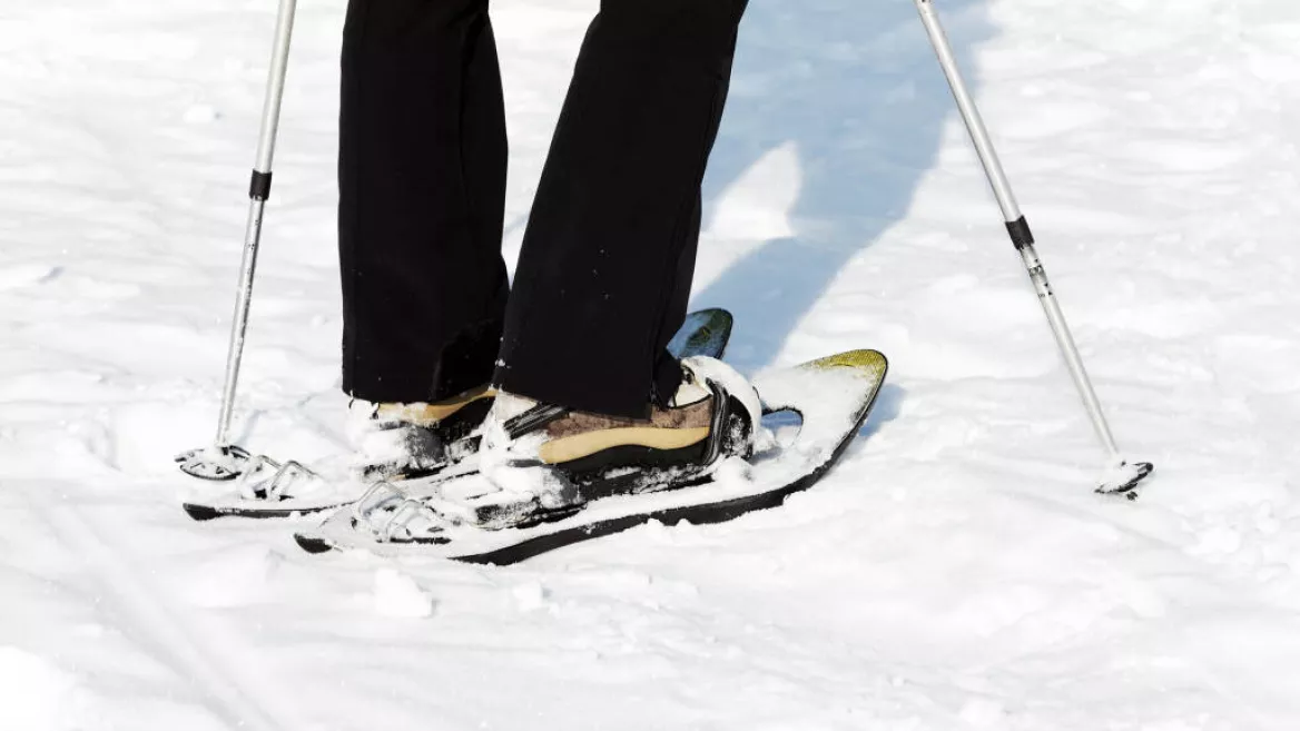 Balade facile en raquettes_Aime-la-Plagne