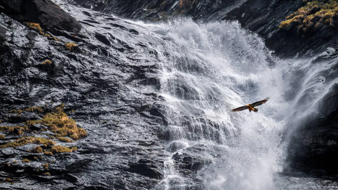 Concours photo à Champagny-en-Vanoise_Champagny-en-Vanoise