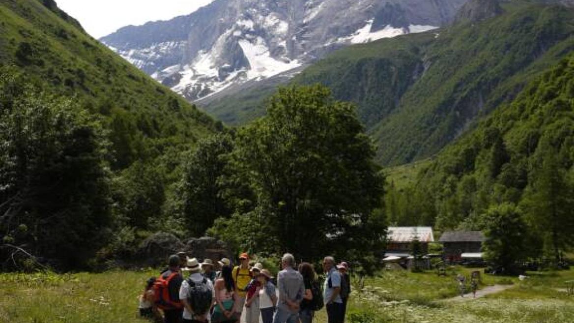Festiv'été : sortie botanique à la découverte des plantes comestibles et médicinales de nos montagnes_Champagny-en-Vanoise