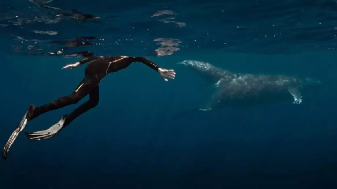 Cinéma | "La Baleine et le musicien"_Champagny-en-Vanoise