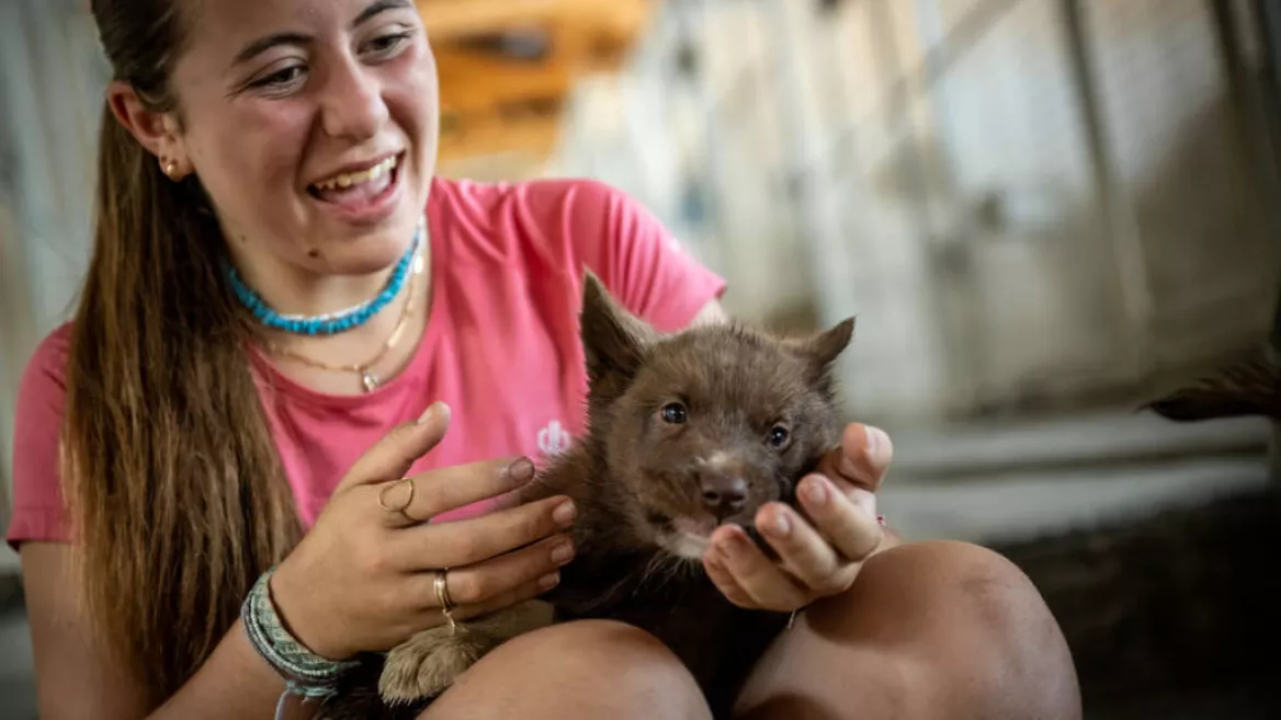 Visite du chenil_Plagne-Montalbert