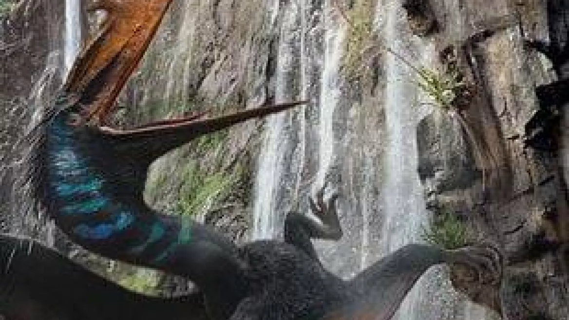 Cinéma | Jurassic World : Renaissance_La Plagne