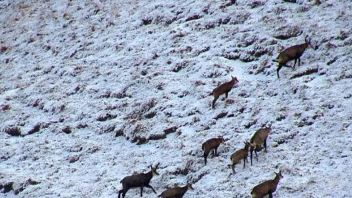 Sortie raquettes : petites histoires d'une vallée glaciaire_Champagny-en-Vanoise