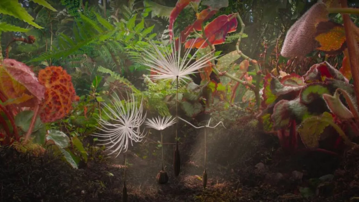 Cinéma I Planètes_Montchavin-les-Coches