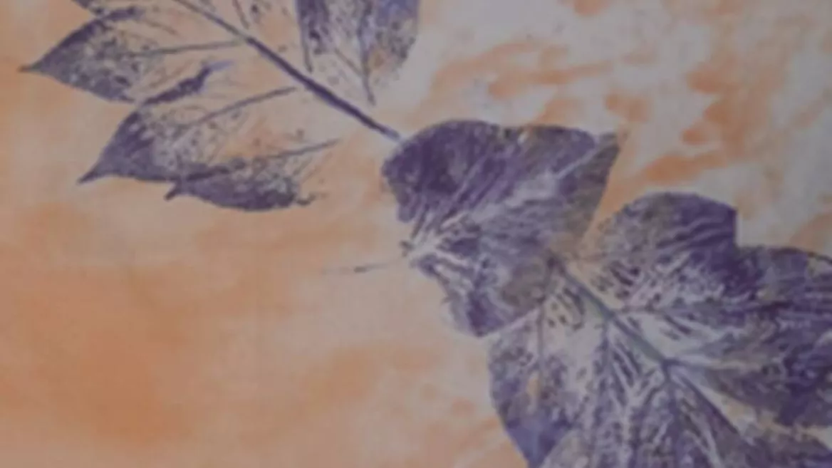 Atelier - Empreinte d'un territoire | Campagne Première_Champagny-en-Vanoise