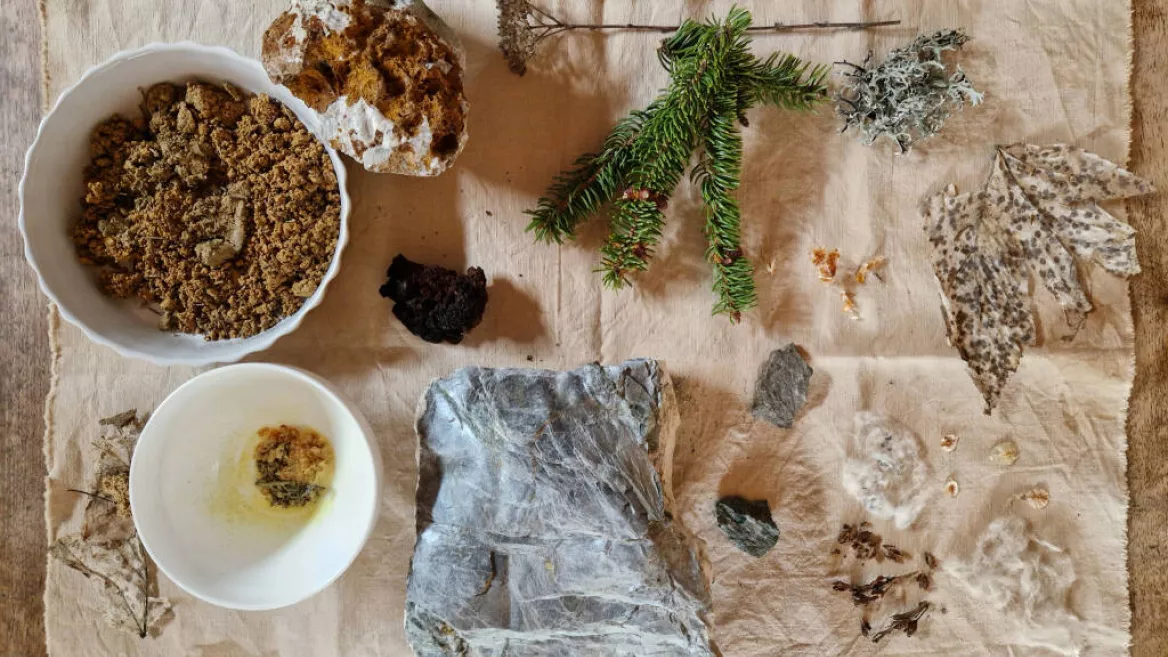 Les carnets d'Eve_Champagny-en-Vanoise