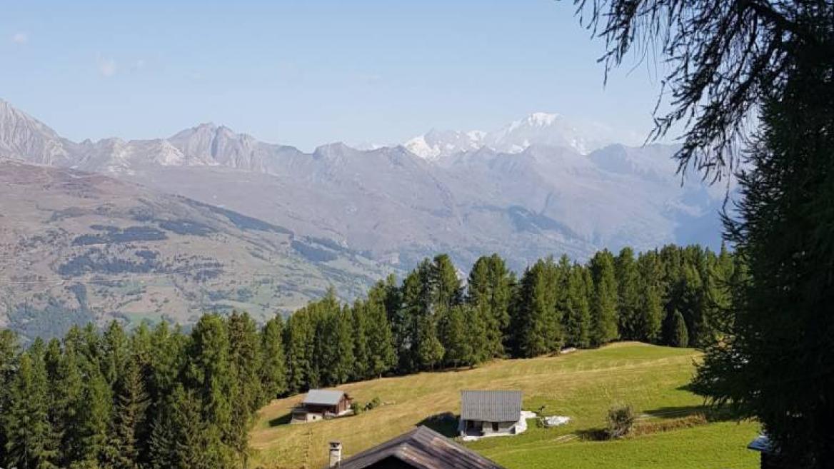 Plagne-Tarentaise (Montchavin-Les Coches )