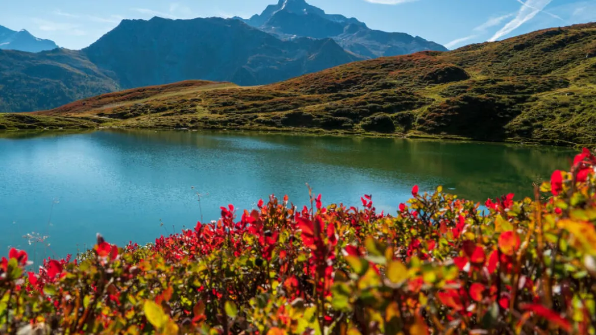 Nature et découverte I