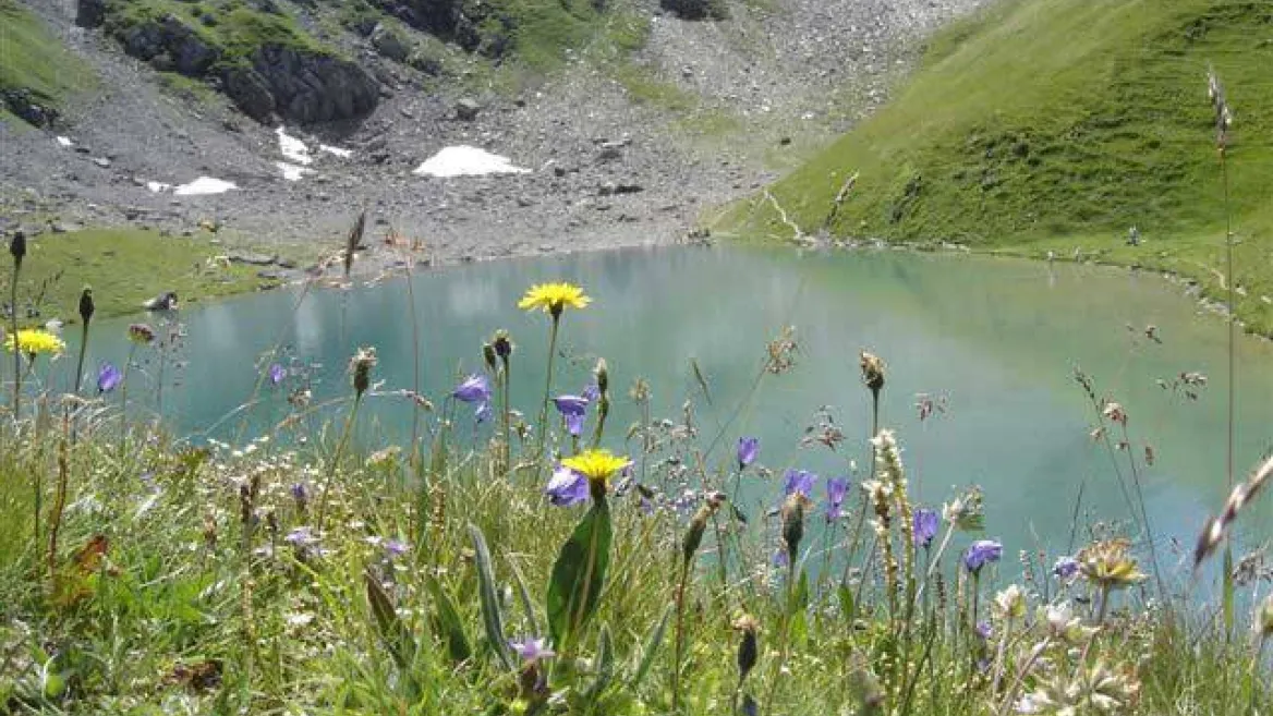 Nature et découverte I Le Lac d'amour