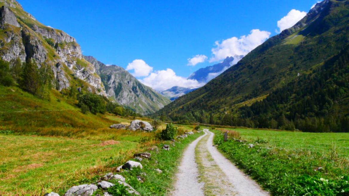 Trail : le Vallon