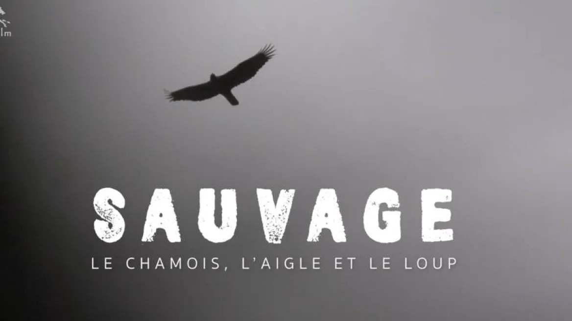 Projection LAPIED "SAUVAGE - Le Chamois, l'Aigle et le Loup " | Cinéma de montagne_Champagny-en-Vanoise