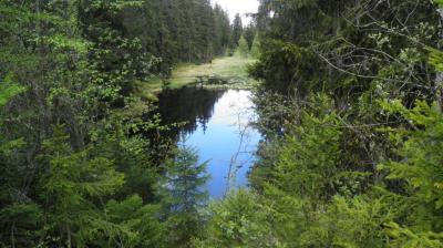 Tourbière du Lac Noir