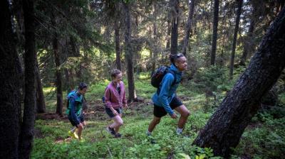 Balade en forêt