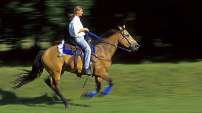 La_Plagne_equitation_2_Ph_Royer_2013.jpg