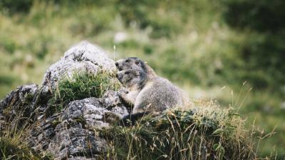 Parc national de la Vanoise