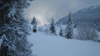 La Vallée des Bauches