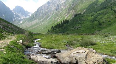 Vallon de foran la vallée de la Plagne