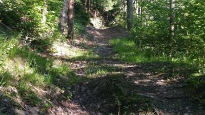 Sentier de St Marcel la Vallée de la Plagne