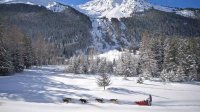 Génération Musher - Traîneau à chiens