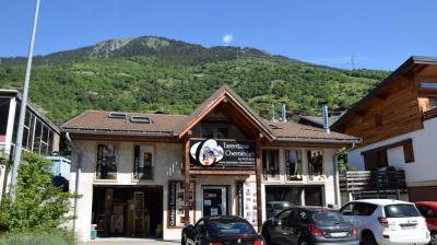 Tarentaise Cheminée Vallée de la Plagne