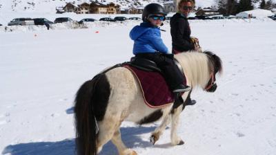 Balades et initiations : chevaux & poneys - Le P'tit Ranch