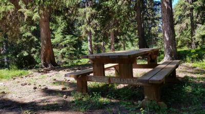 Table de pique nique à la Tourbière du Lac Noir