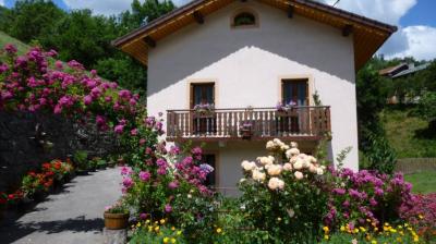 Les Pivoines Belle ferme de pays 1908