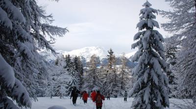 en forêt