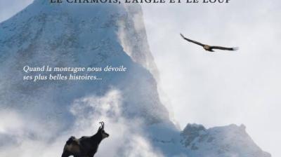 Cinéma de montagne : "SAUVAGE, le chamois, l'aigle et le loup"... Nouveau film