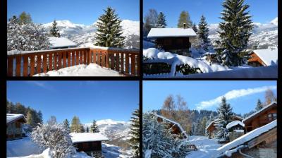 Chalet Mathilde