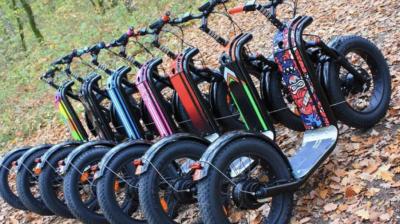 Trottinettes électriques