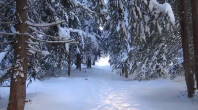 Itineraire raquettes Comba Damon