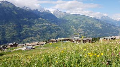 Un bel itinéraire avec vue Sentier poussette n°1