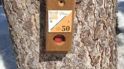 Parcours d'orientation