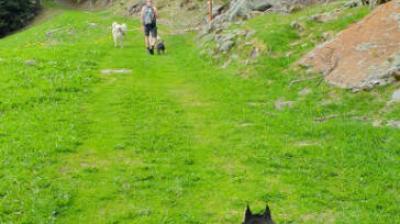 Cani rando : les ruines de la Pierra