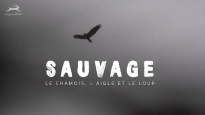 SAUVAGE, le Chamois, l’Aigle et le Loup