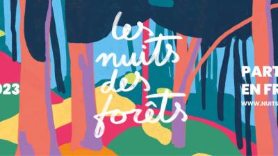 Les nuits des forêts