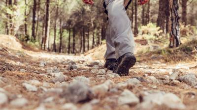 Marche sur le chemin des Essertd_Aime-la-Plagne