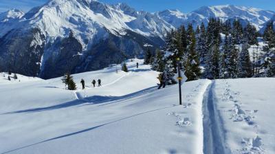 Sortie / Initiation en ski de randonnée